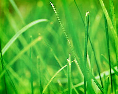 网页版手机号攻击